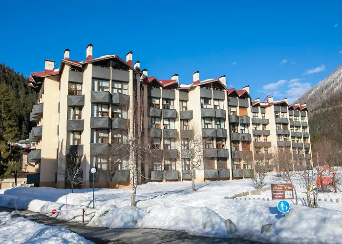 Grand Roc - Campanules 322 - Happy *