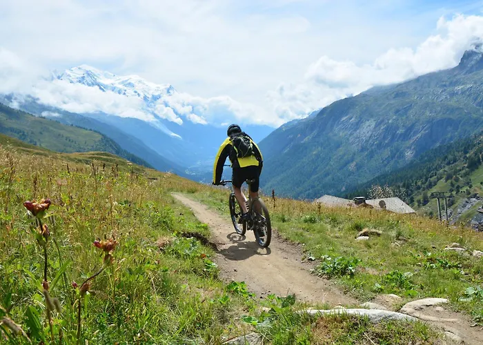 Grand Roc - Campanules 322 - Happy Apartment Chamonix